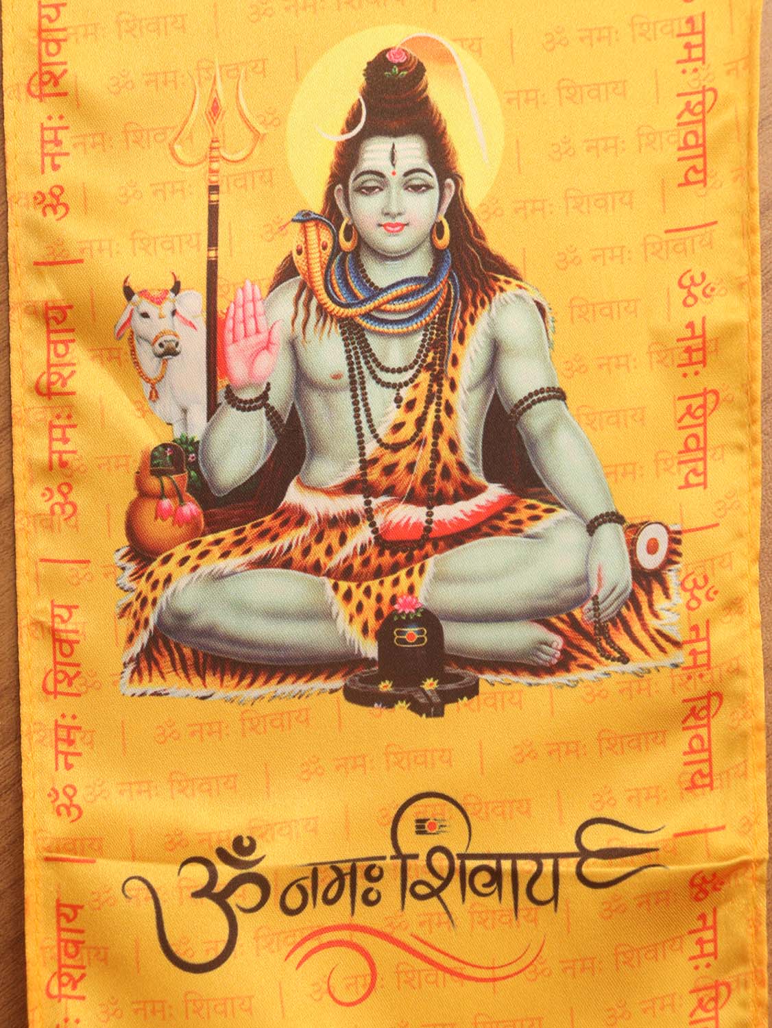 Divine Theft: Lord Shiva's Sacred Heist (Set of 1)